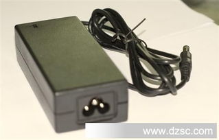 12V4A開關電源適配器 植物燈專用電源的卓越之選